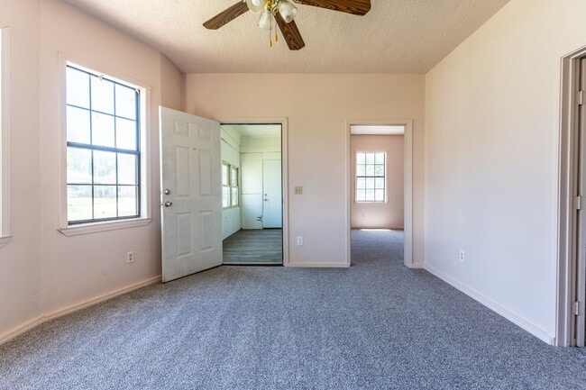 Building Photo - Cute 2 Bed Ready For You!