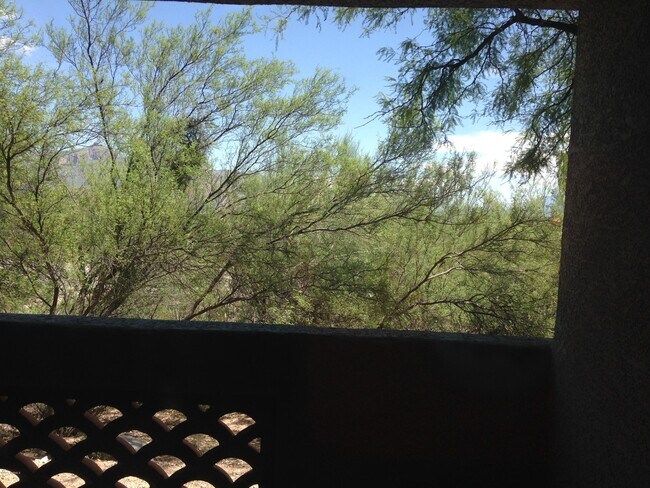 Building Photo - 5751 N Kolb Rd