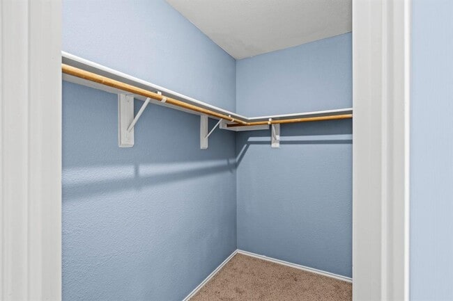 Building Photo - 4015 Iriona Bend