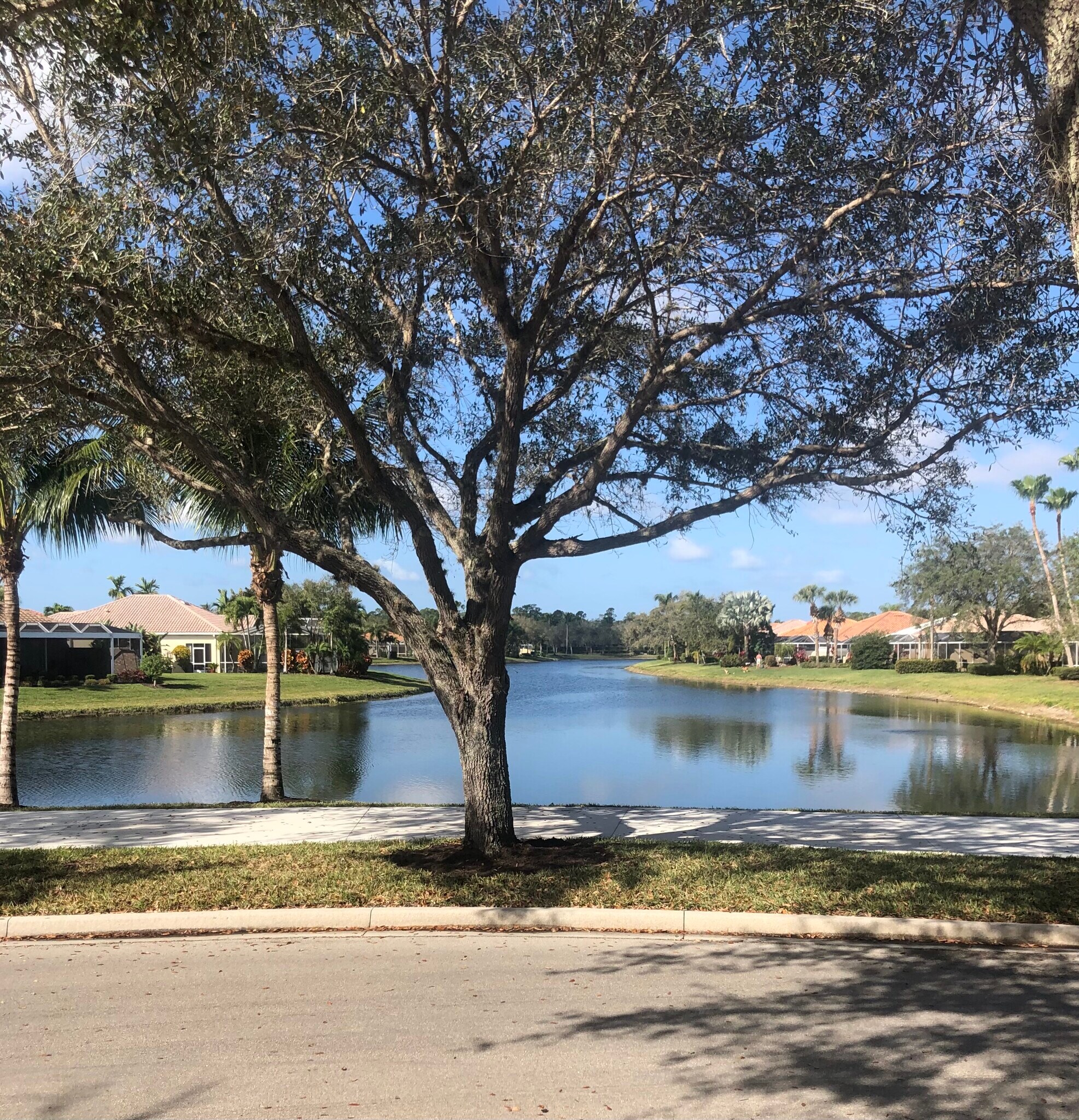 view from front of home - 6068 Towncenter Cir