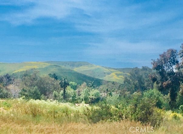 Building Photo - 27932 Paseo Tortuga