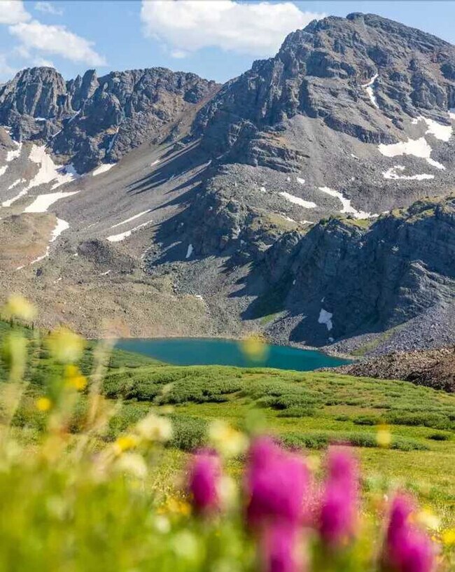 Building Photo - 205 E Durant Ave