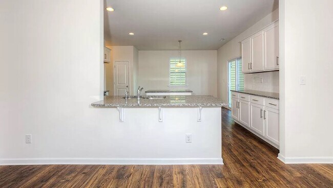 Building Photo - Spacious Newer Construction In Candler