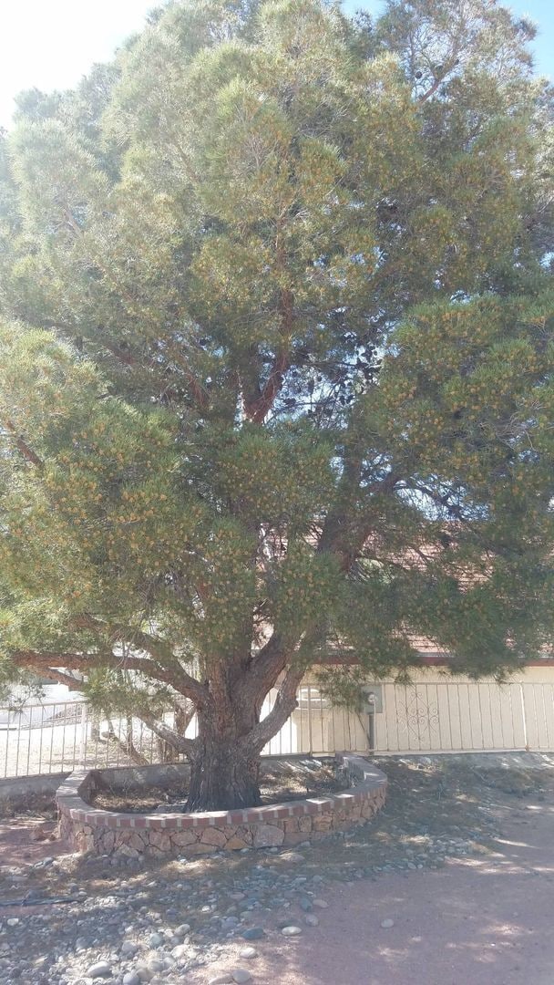 Building Photo - Home For Rent - Great Location on the Westside w/ Refrigerated Air!