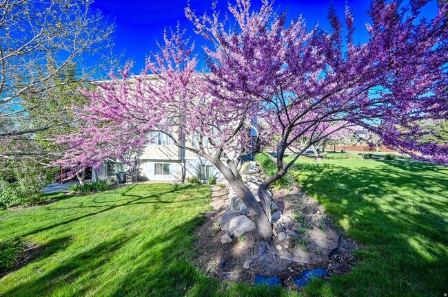 Building Photo - 857 Southfork Dr