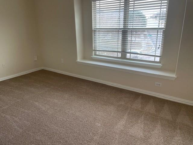 Building Photo - 10004 Epic Knoll Dr