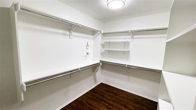 Building Photo - 1002 Tabasco Trail