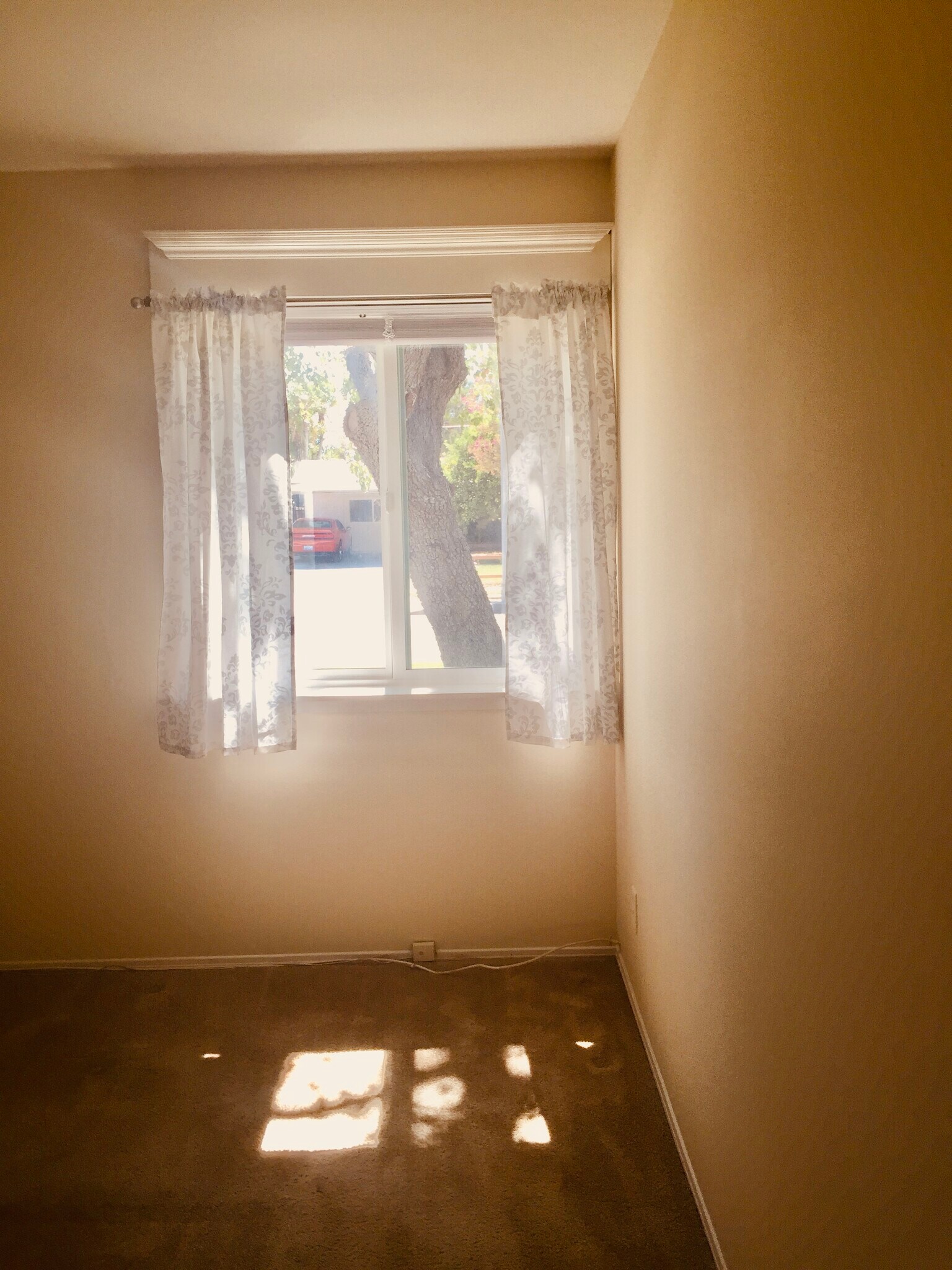 Building Photo - 7342 Ponce Ave