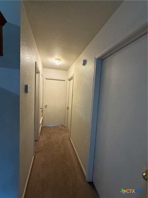 Building Photo - 4106 Wine Cup Rd