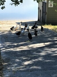 Building Photo - 26 Bing St N