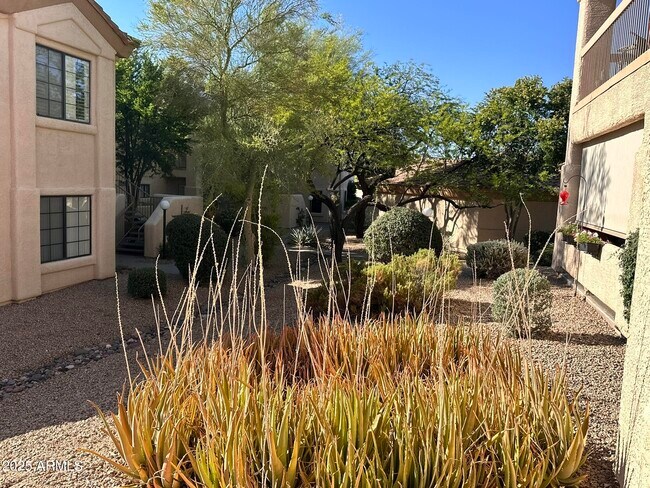 Building Photo - 9253 N Firebrick Dr