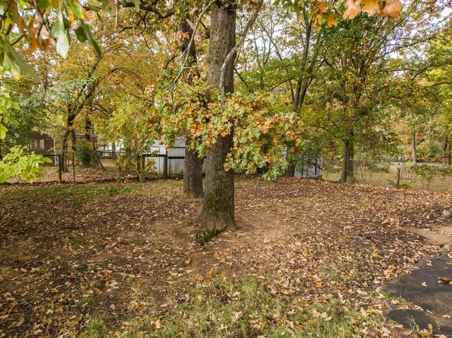 Building Photo - Freshly Updated 3 Bedroom House