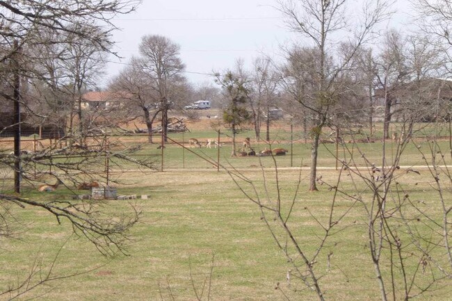 Building Photo - 1601 Co Rd 491