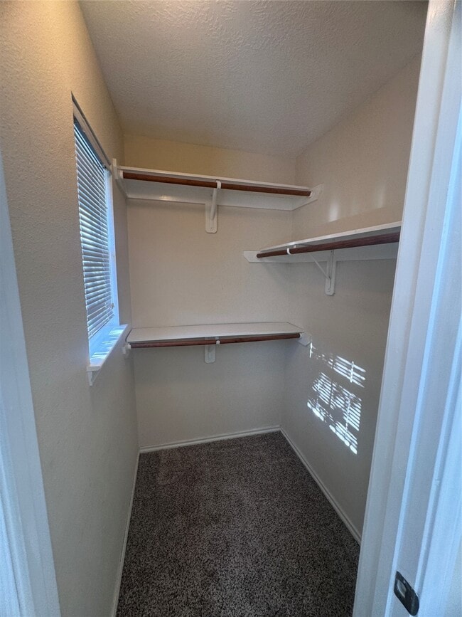 Building Photo - 6213 Stoney Creek Dr