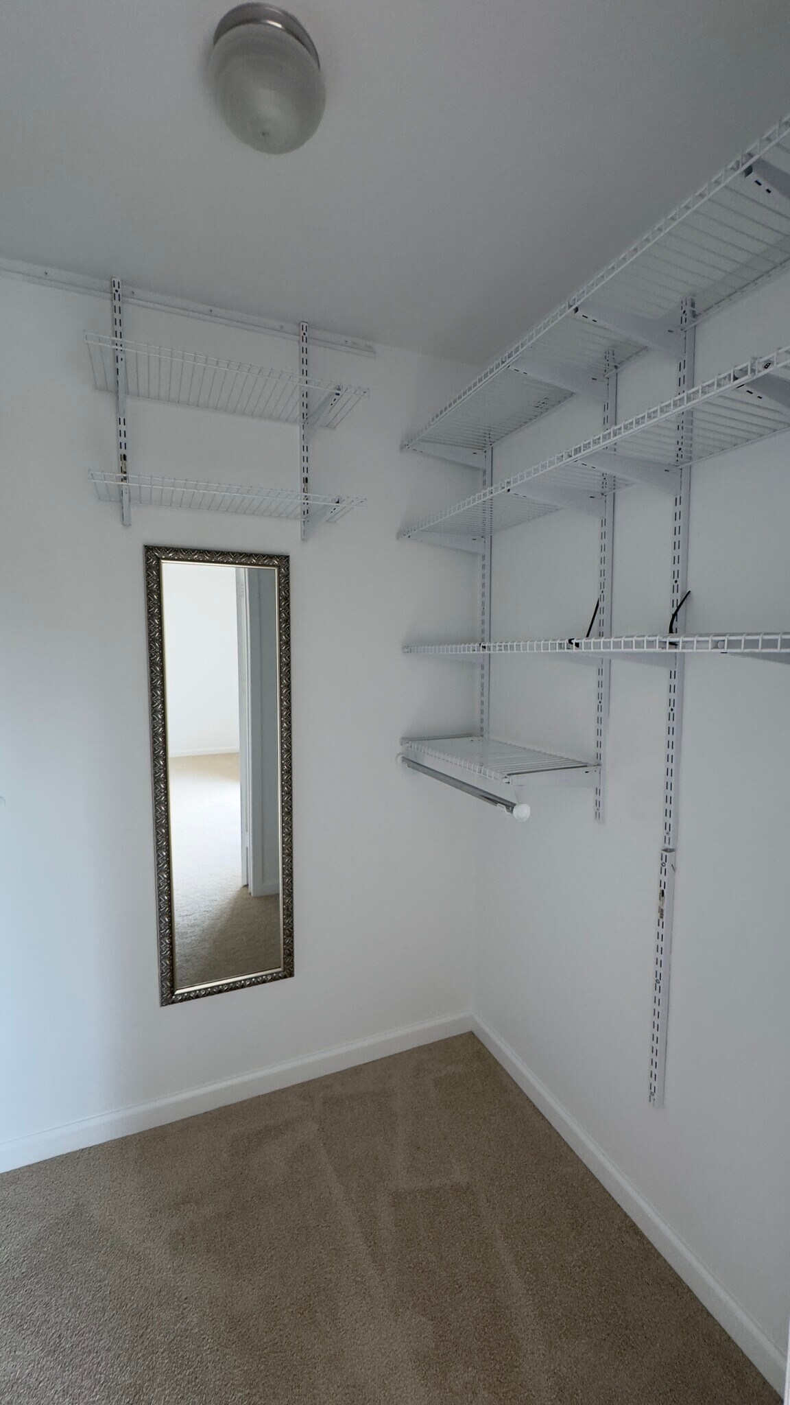 Walk-in closet with organizer - 1714 Spruce Hills Dr