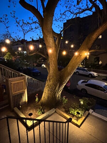 Building Photo - 3547 10th St NW