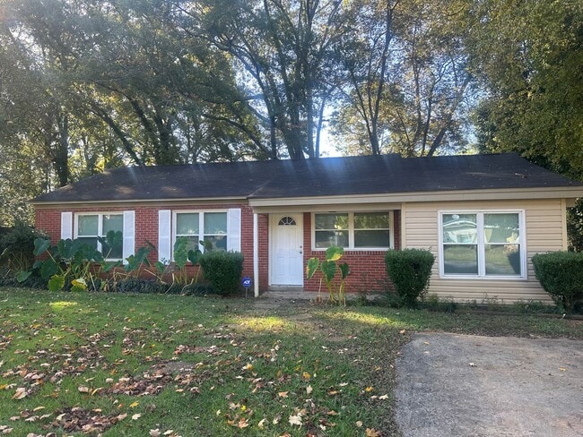 Primary Photo - Forest Hills Cutie