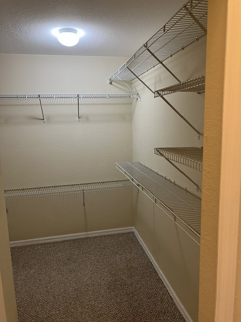 Walkin closet in primary bedroom - 12515 McGregor Blvd