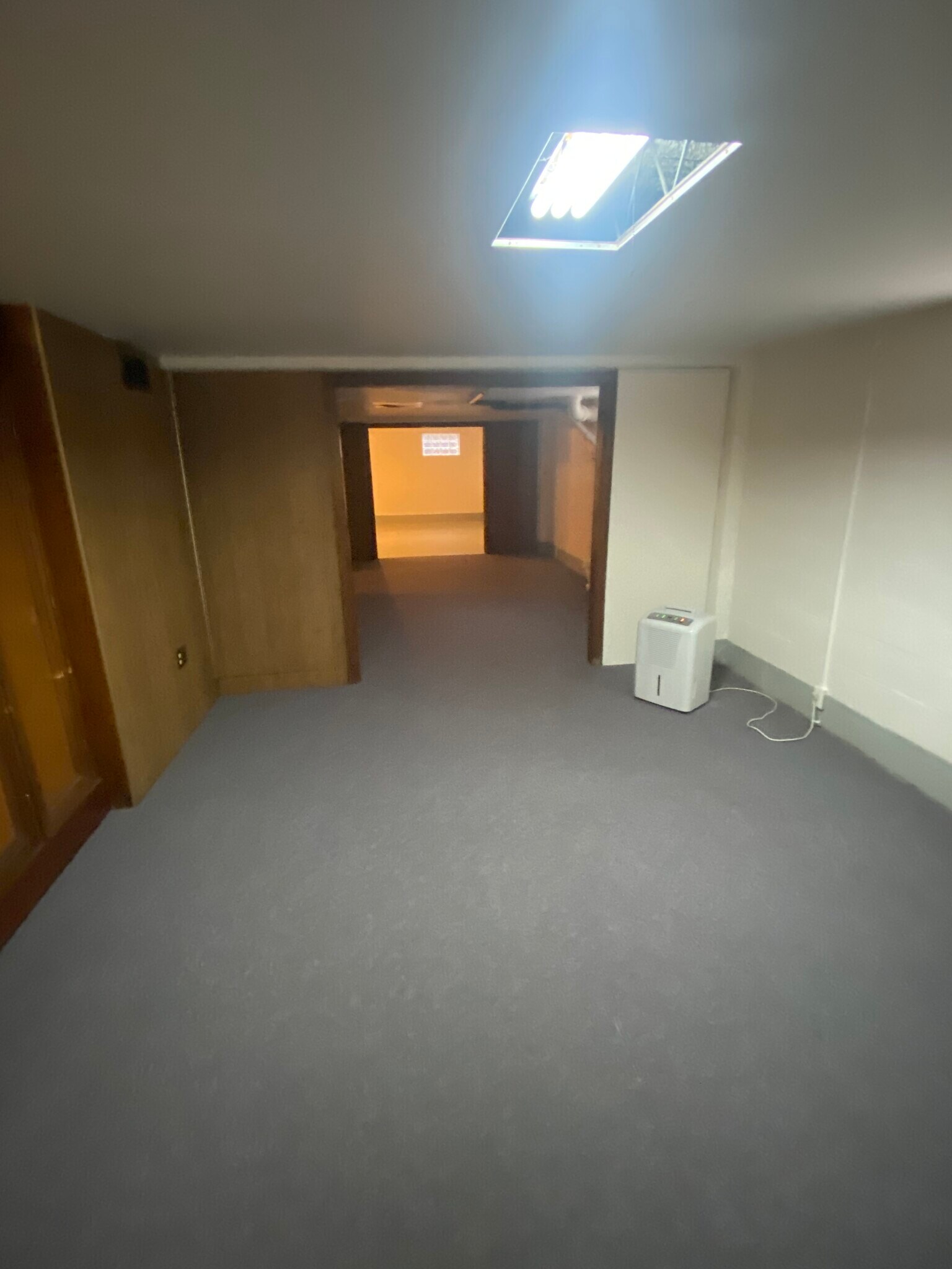 Lower level room - 246 S Prospect St