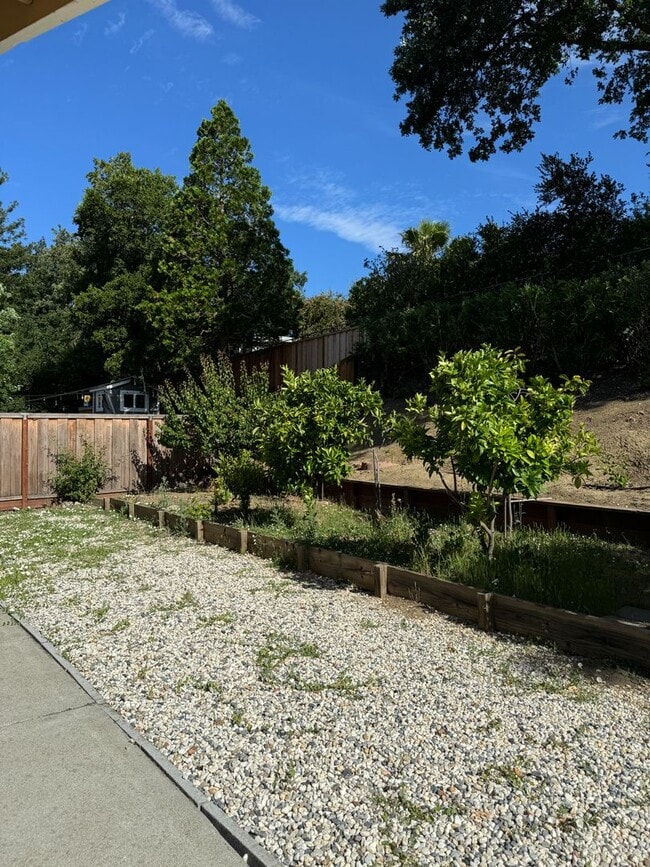 Building Photo - 430 Blue Ridge Dr