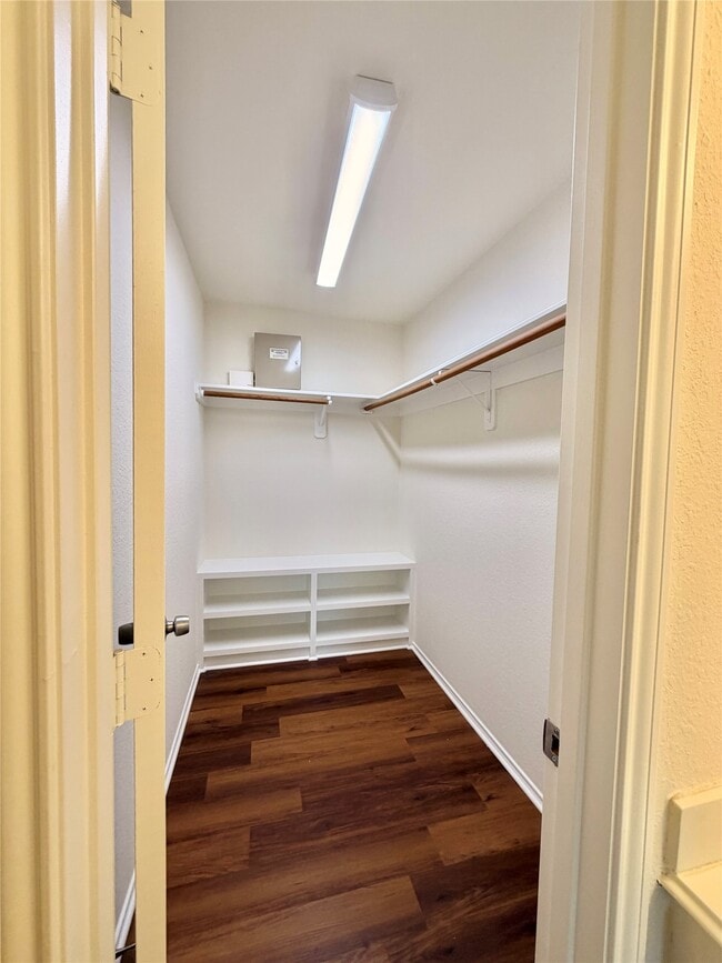 Building Photo - 22807 Red Leo Ln