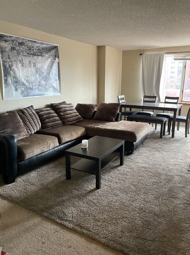 living area - 801 S Plymouth Ct