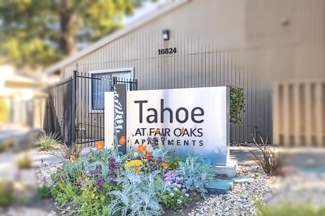 Primary Photo - Tahoe at Fair Oaks Apartments