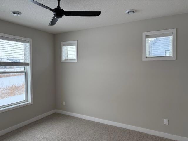 Building Photo - 11401 51st St NE