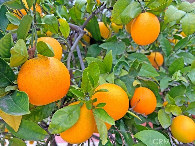 Building Photo - 3320 Campus Ave