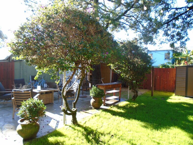 Back garden - 1532 Yale St
