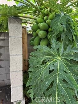 Building Photo - 5704 Sultana Ave