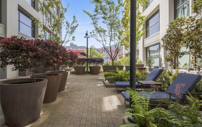 Common area - 311 2nd St