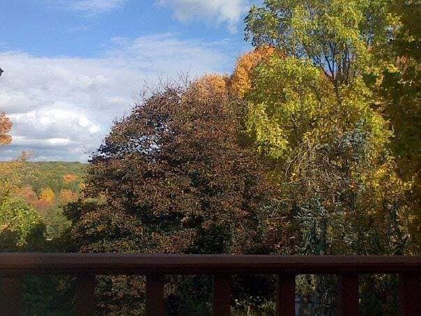 Building Photo - 3 Orchard Ln