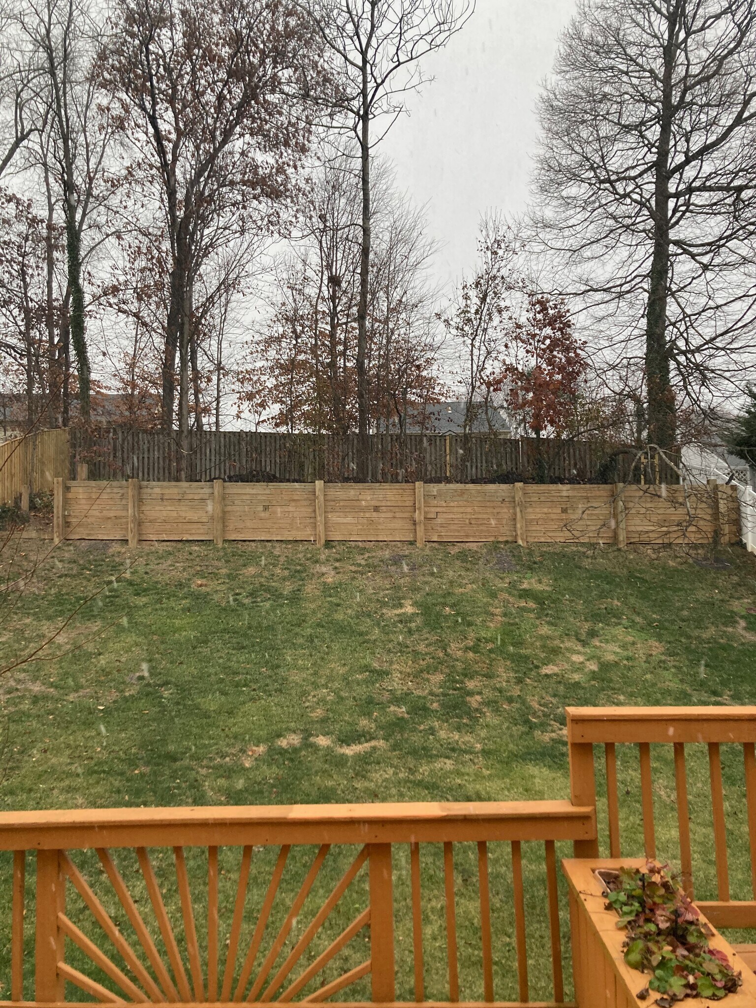 Building Photo - 3203 Trellis Ln