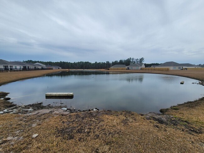 Building Photo - Welcome to our brand new 4-bedroom, 2-bathroom home located in the charming community of Castle H...