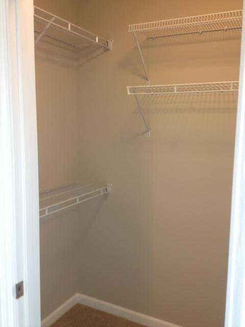 Building Photo - 3305 Sweet Clover Ln