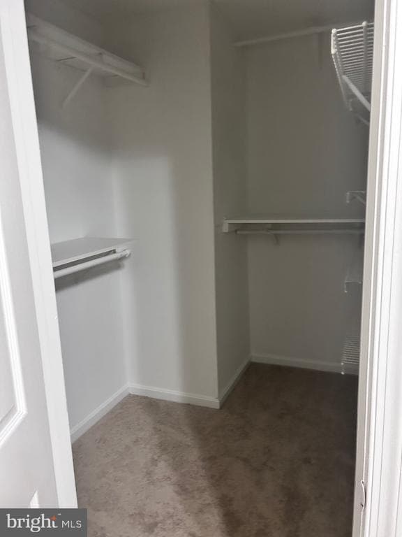 Building Photo - 1798 Goldsborough Ln