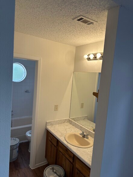 Master bedroom bath - 4504 Dorsett Oaks Cir