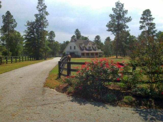 Primary Photo - 928 Shell Bluff Dr