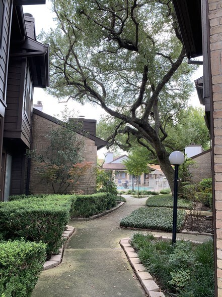 Garden view - 8020 Braesmain Dr