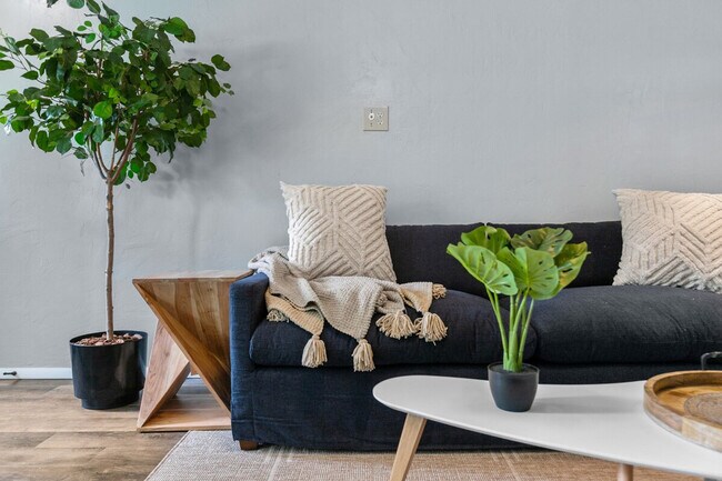 Building Photo - 733 W 4th St