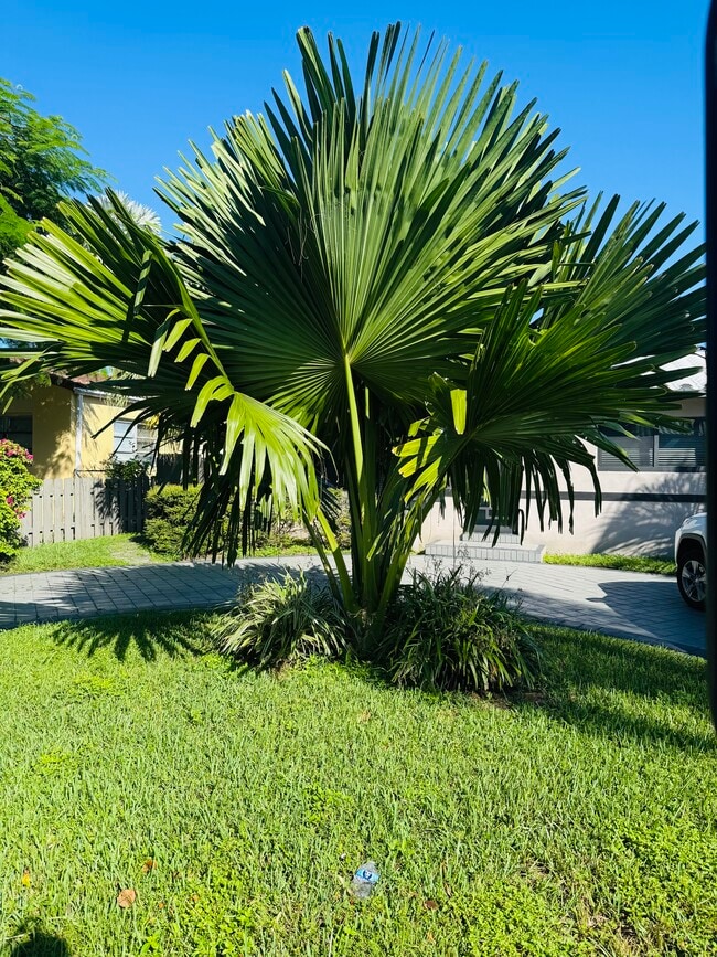 Building Photo - 7771 Simms St