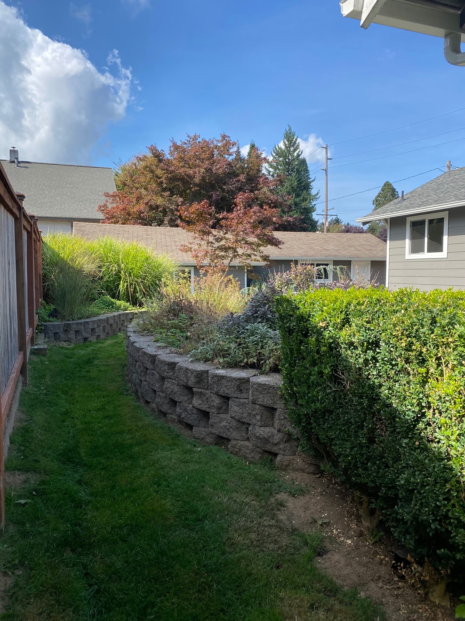 Building Photo - 421 N 6th Ave SW