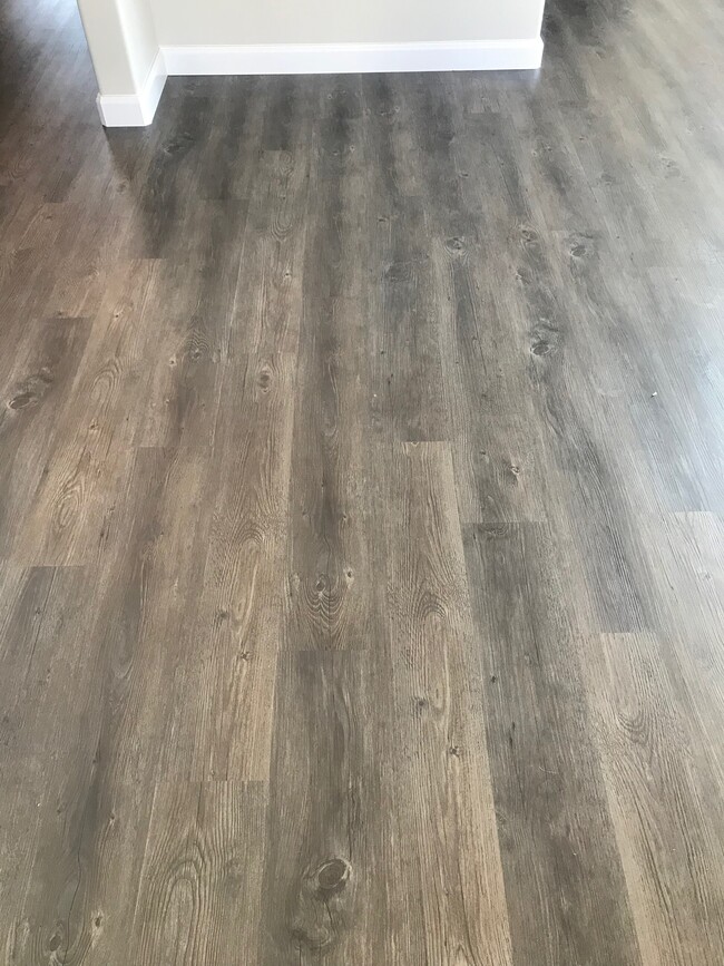 Plank flooring - 2851 Belford Ave