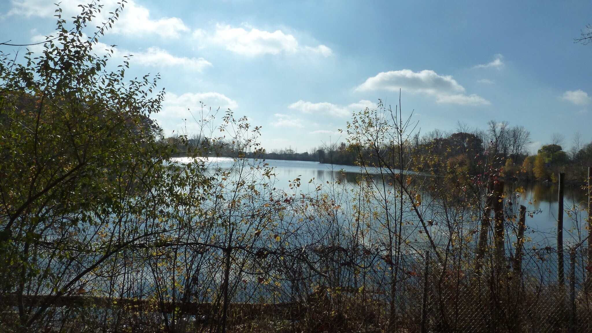 Building Photo - 11719 21 Mile Rd