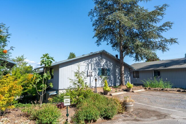Building Photo - 2Bd/1.5Ba Shoreline Condo