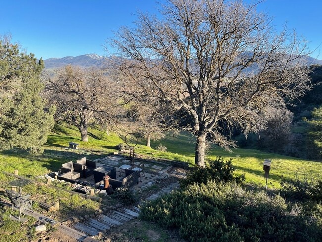 Building Photo - 2BR/1 Bath Bear Valley Springs Home  with ...