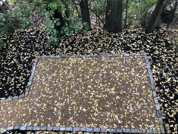 Building Photo - 23 Howard St