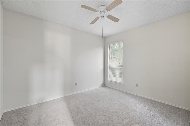 Building Photo - 236 Nixon St