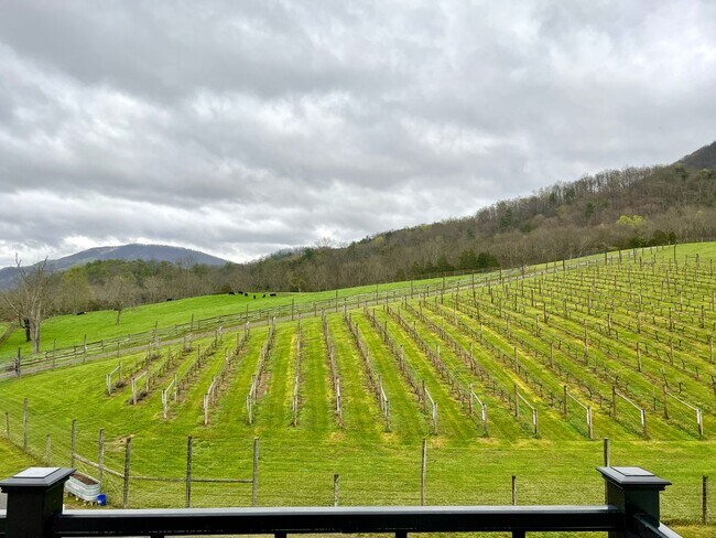 Building Photo - Home on Beautiful Farm and Vineyard Minutes From Town Of Blacksburg